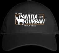 Topi