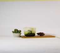 Noka Matcha - M