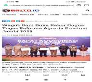 advertorial brito