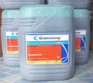 Herbisida Gramoxone 276 SL @ 20 Liter
