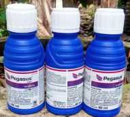 Pegasus 500 SC 80 ml