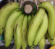 pisang ambon